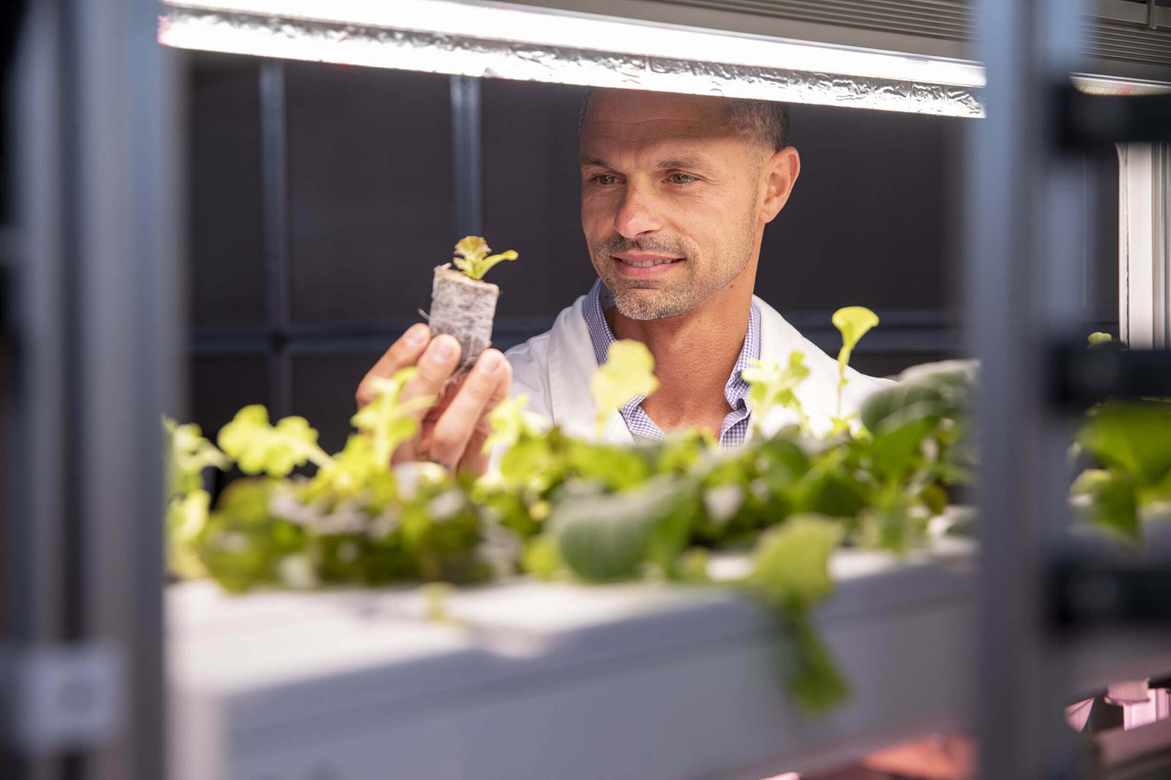 Image of hydroponics