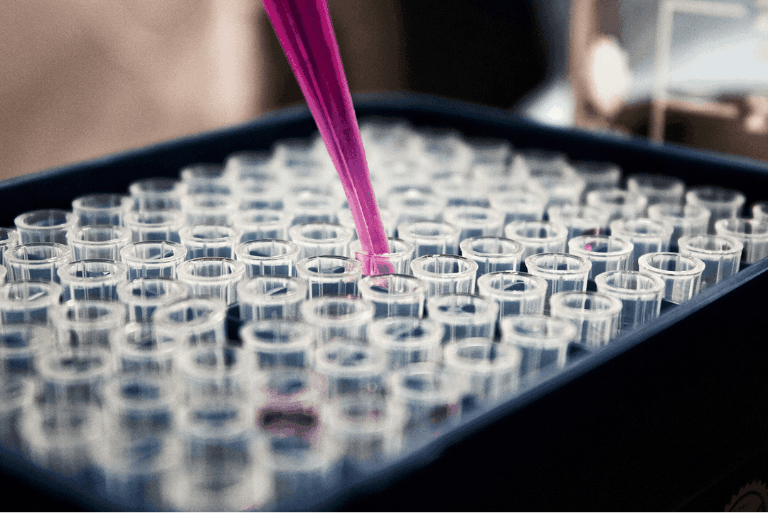 Dispensing pink liquid into sample tubes in a lab tray.
